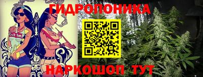 СК Бузулук
