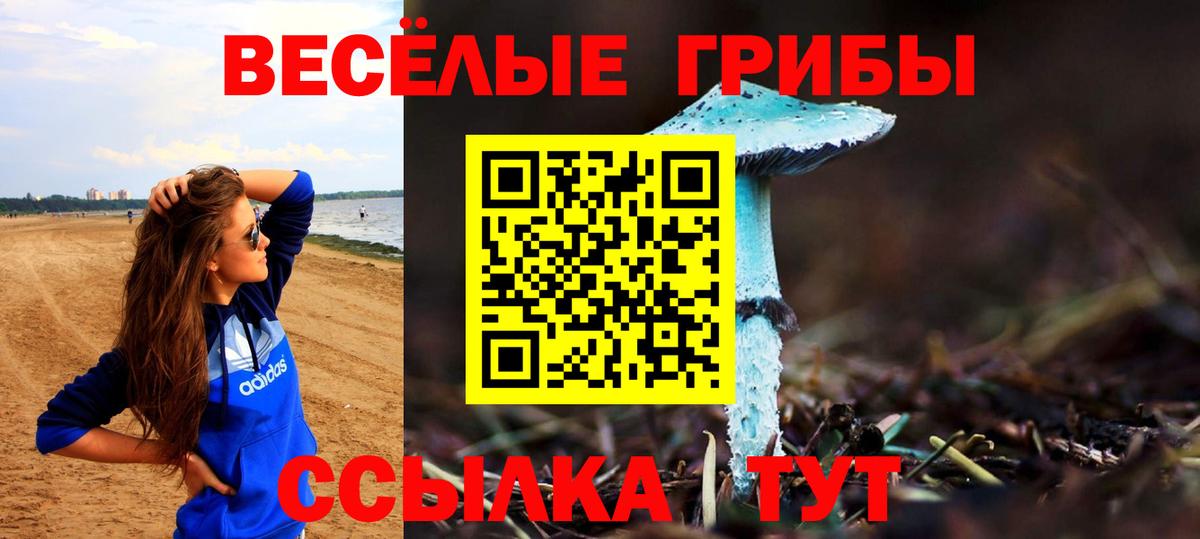 Галлюциногенные грибы Psilocybe Уфа